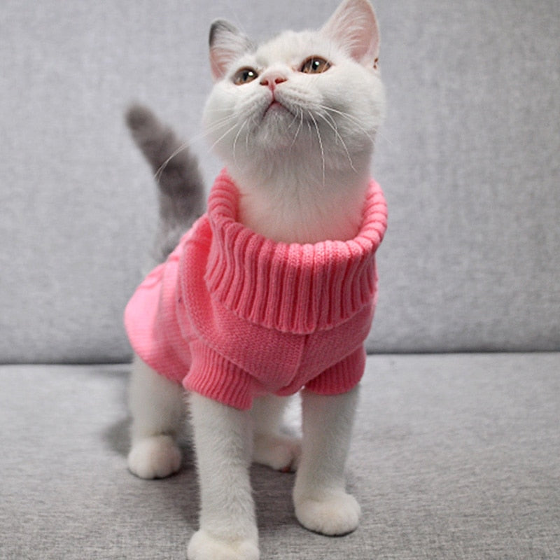 Cat Clothes for Pet Cats Clothing for Pets Sweater Pet Dog Clothes for Cats Dogs Kitty Outfit Pure T Shirt Dog Coat Vest Costume