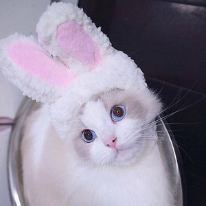 Cute Pet Costume Cosplay Rabbit Ears Cap Hat for Cat Halloween Xmas Clothes Fancy Dress with Ears Autumn Winter  Paty Accessorie