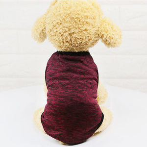 Pet Clothes For Cat Clothing Winter Pet Cat Clothes Cats Coat Jacket Pets Clothing for Kitty Cat Dog Clothes Animals Outfit 30