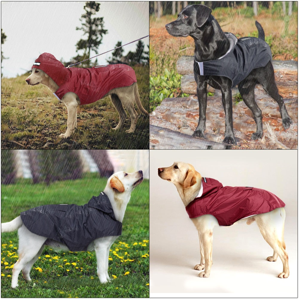 TOMEPETS Dog Raincoat Waterproof Hoodie Jacket Rain Poncho Pet Rainwear Clothes with Reflective Stripe for All Sizes Dogs bigdog